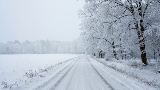 Frostige Winterkulisse in der Altstadt mit Kirche, verschneite Bäume und ruhige Straßenszene.