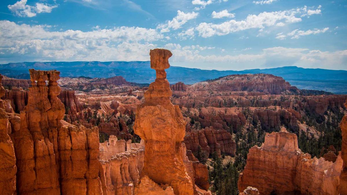 2026 Winter Olympics ICE Hockey Detailansicht: 2026 Winter Olympics ICE Hockey