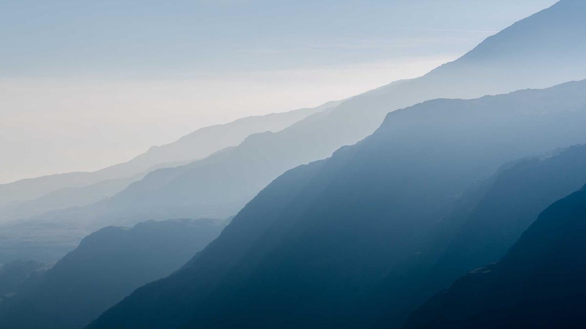 Detailansicht: Affe Punch