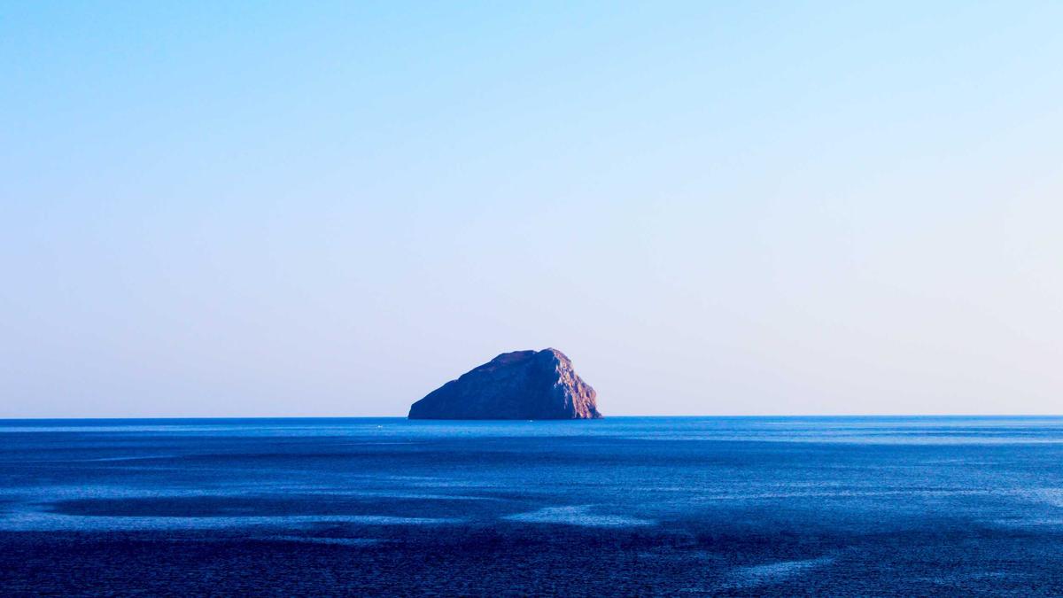 Illustration zu Akute Herzinsuffizienz