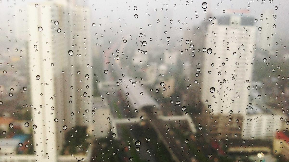 Andi Herzog Symbolbild zum Thema Andi Herzog