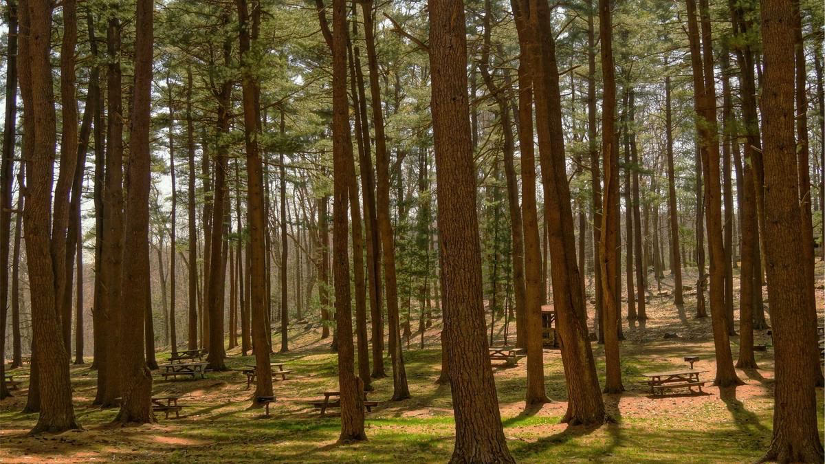 Autotür Unfall Motorrad Symbolbild zum Thema Autotür Unfall Motorrad