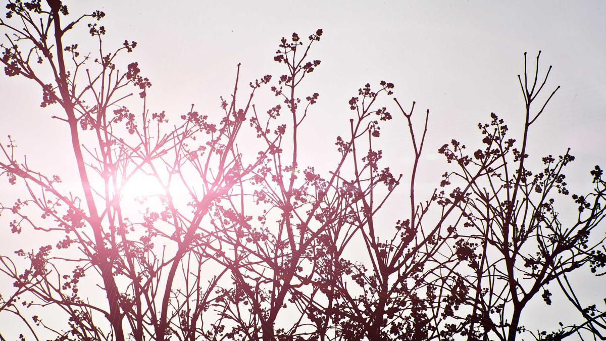 Illustration zu Banksy