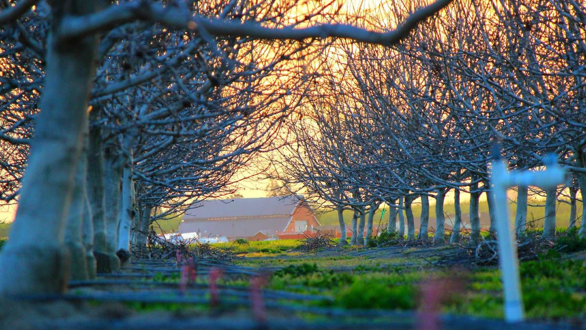 Symbolbild zum Thema Benfica