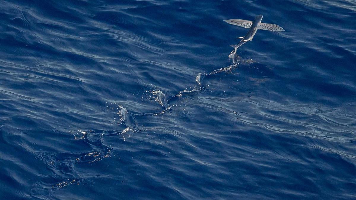 Symbolbild zum Thema Brand Crans Montana Schweiz