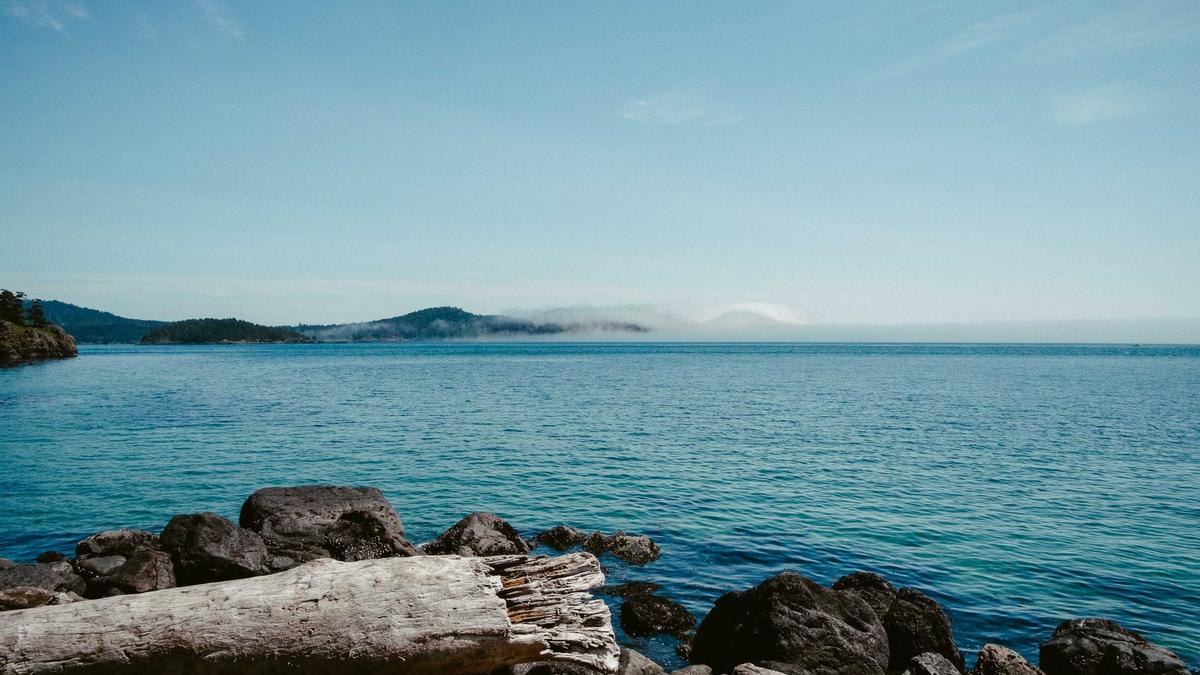 Illustration zu BVB News