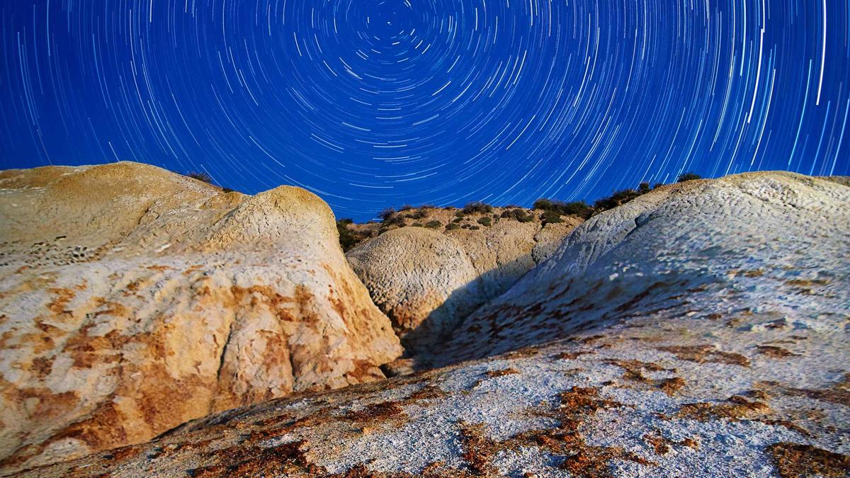 Illustration zu BVG Streik Berlin