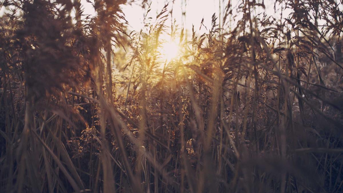 Illustration zu Candy Crash Baby