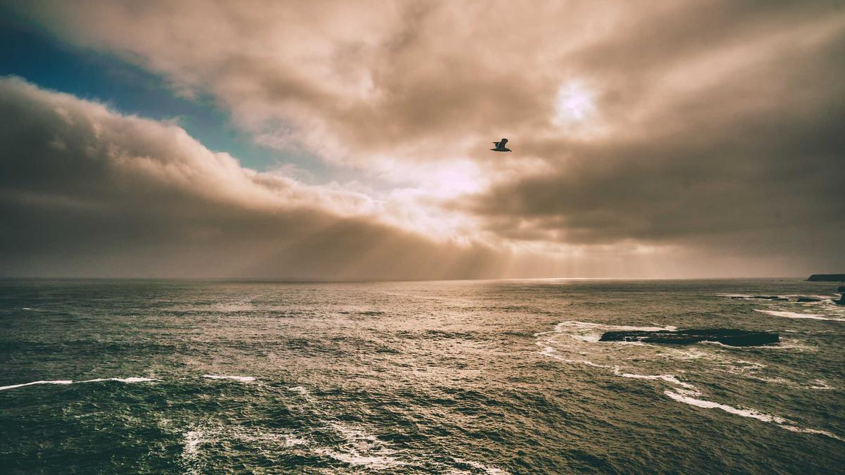 Chris Hemsworth Kinder Illustration zu Chris Hemsworth Kinder