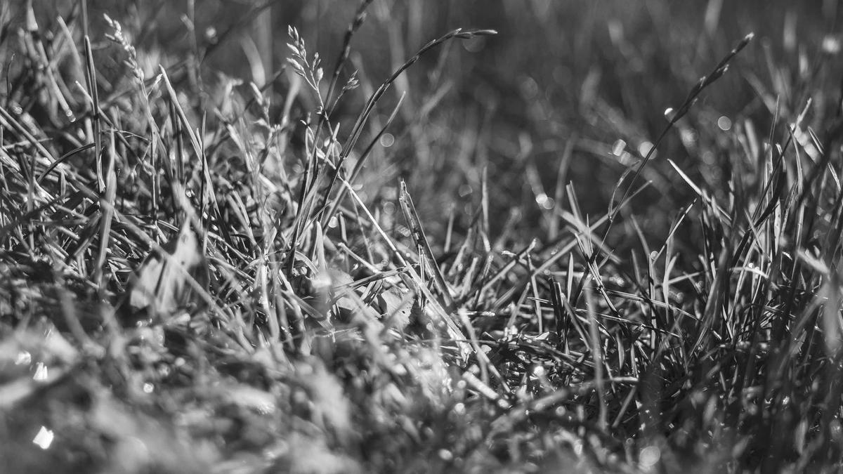 Illustration zu Daniel Day Lewis