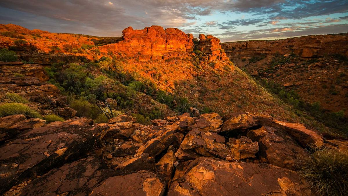 Elijah Blue Allman Festnahme Detailansicht: Elijah Blue Allman Festnahme