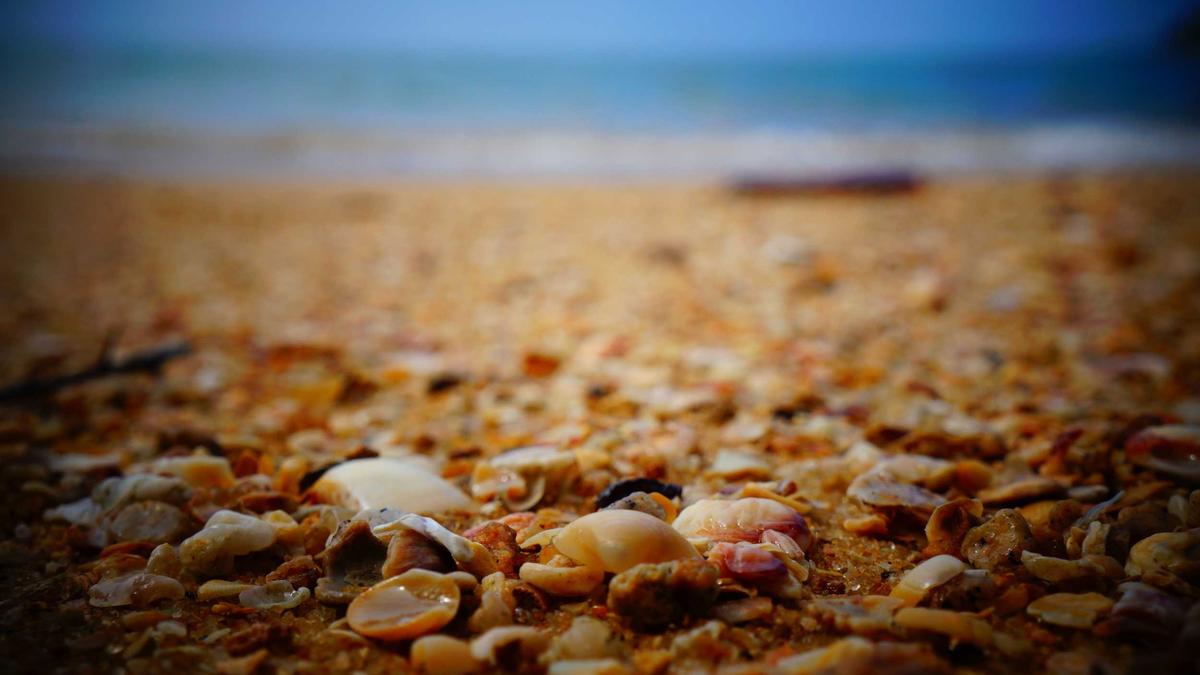 Epstein Akten Symbolbild zum Thema Epstein Akten