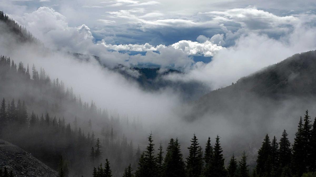 Illustration zu Erbschaftssteuer Kritik