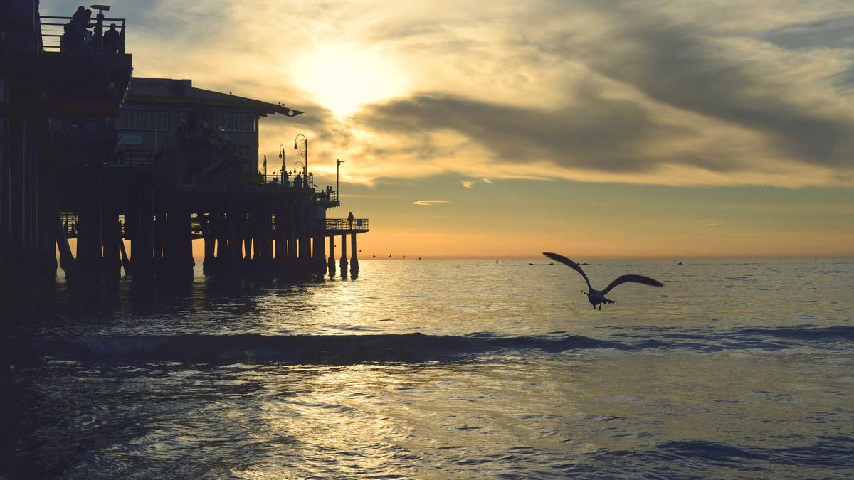 Illustration zu Franz Von Assisi Reliquien