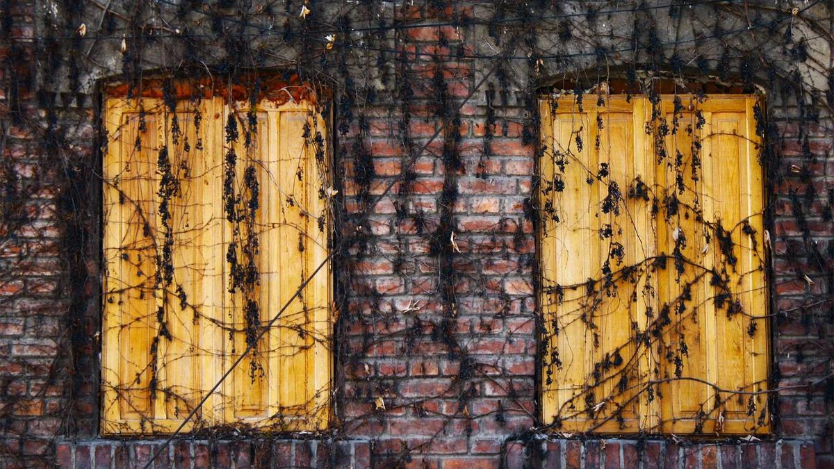 Detailansicht: Freundschaftsprobleme