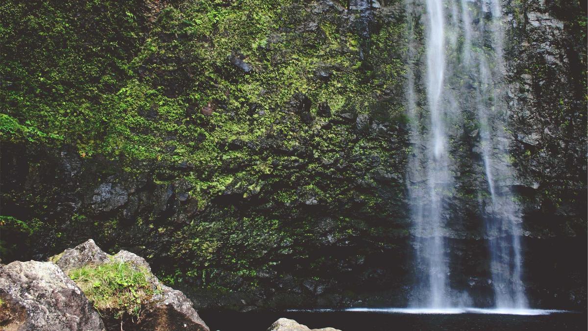 Detailansicht: Früher In Rente