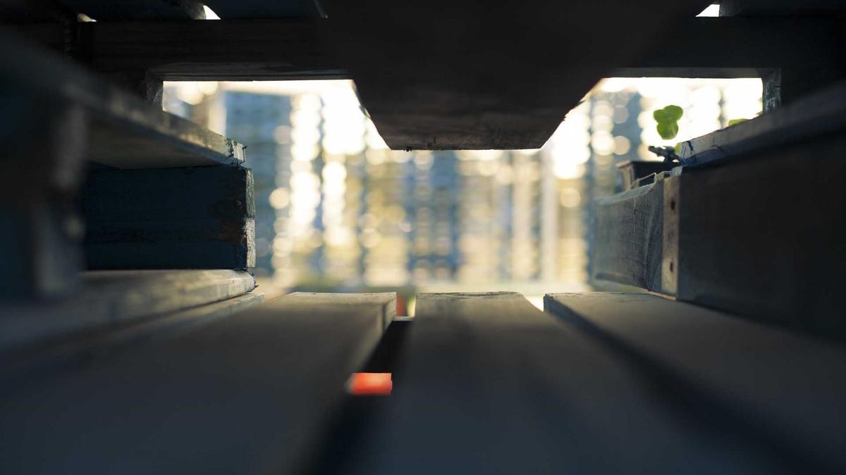 Detailansicht: Führerschein Theorieprüfung