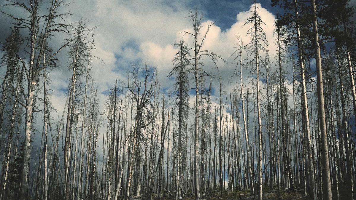 Detailansicht: Gracie Abrams Paul Mescal