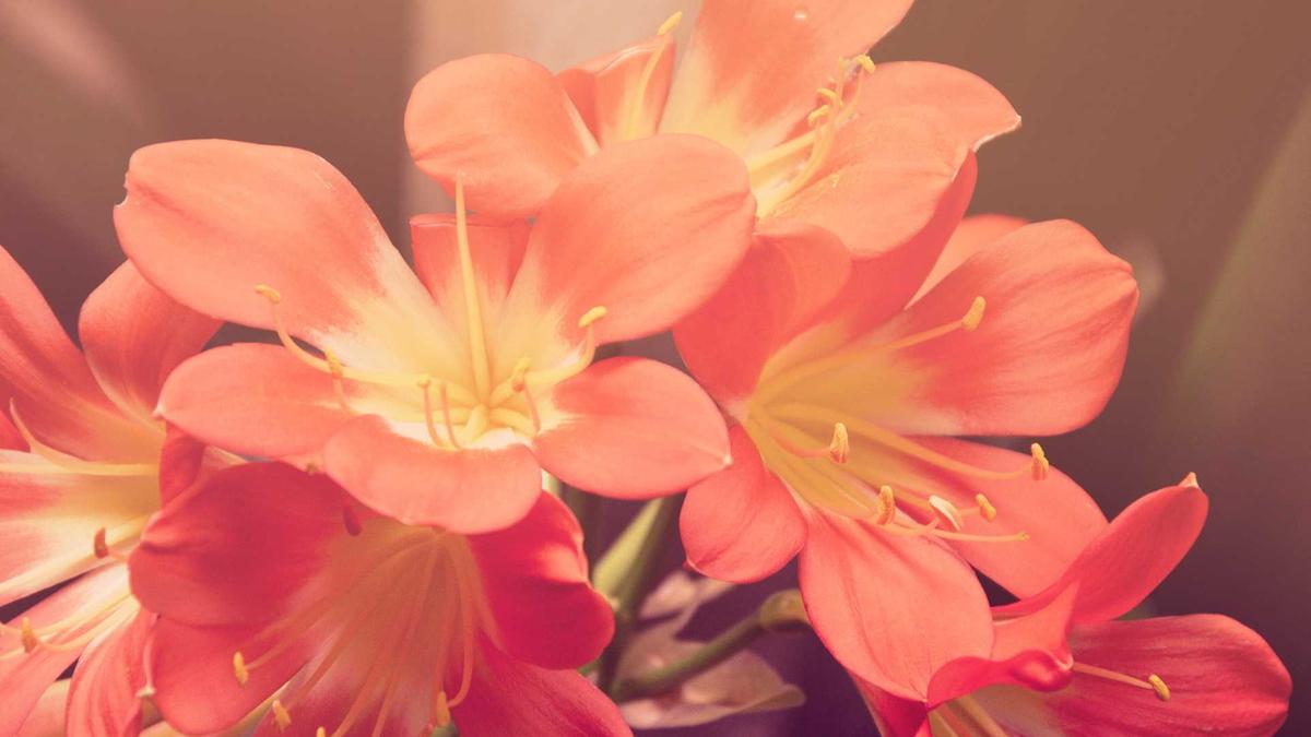 Symbolbild zum Thema Haley Lu Richardson Breakdance