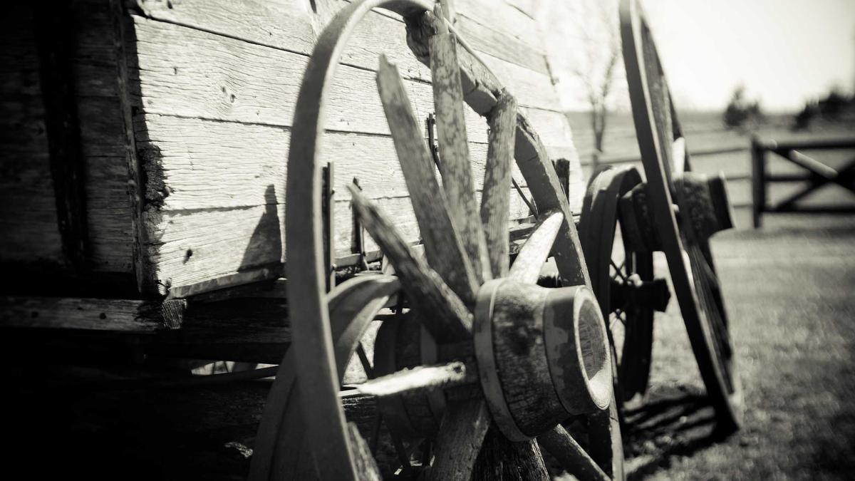 Detailansicht: Helene Fischer