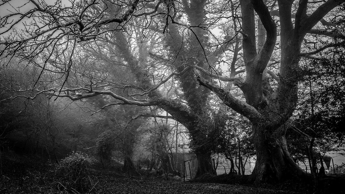 Illustration zu Inklusion Wintersport