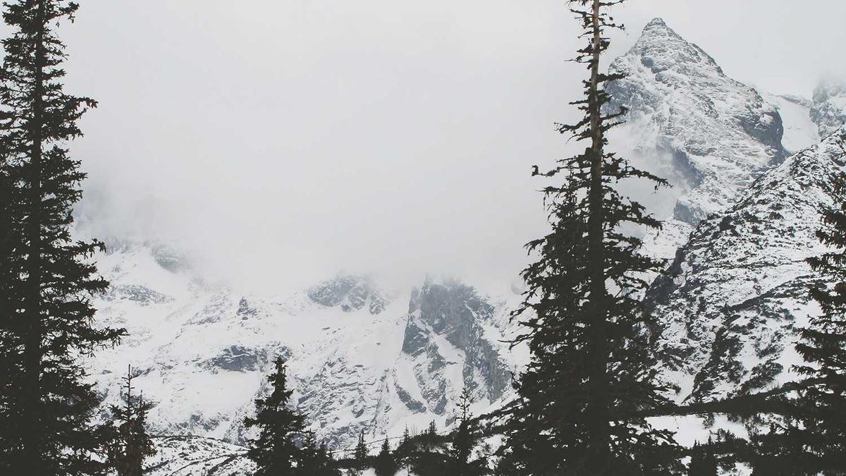 Isabelle Adjani Detailansicht: Isabelle Adjani