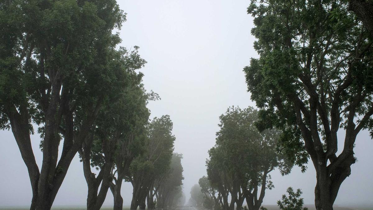 Symbolbild zum Thema Israel News