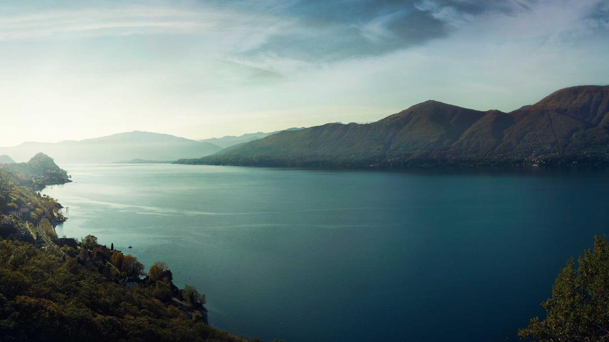 Detailansicht: Jan Köppen Dschungelcamp