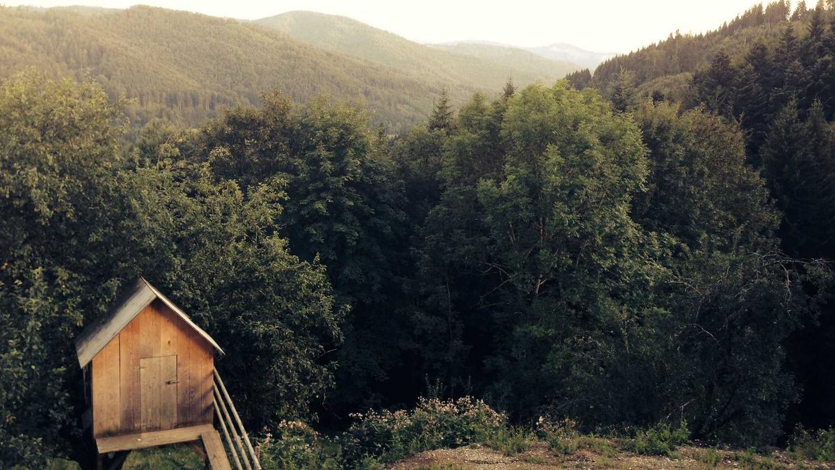 Symbolbild zum Thema Kurt Waldheim