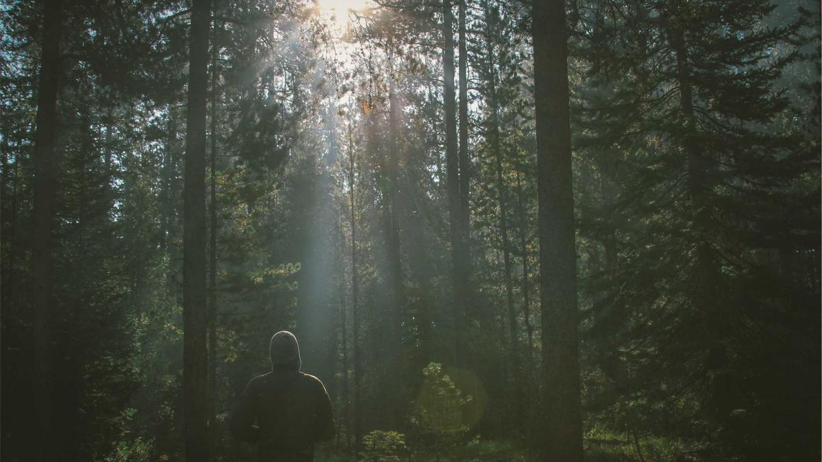 Illustration zu LKW Verliert Rad