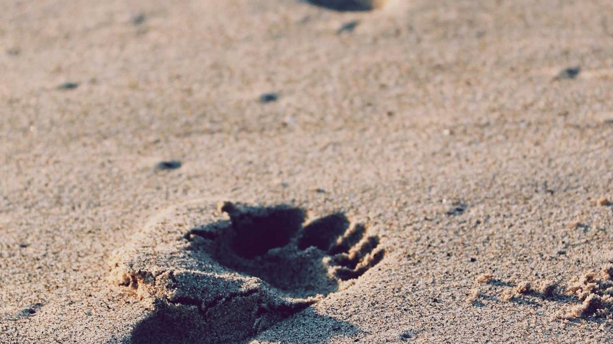 Lohnfortzahlung Krankheit Detailansicht: Lohnfortzahlung Krankheit