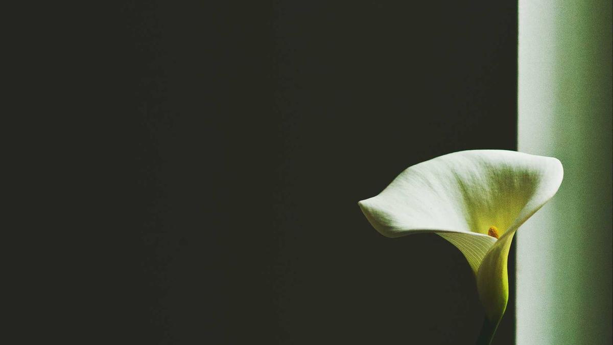 Detailansicht: Marianne Fatton