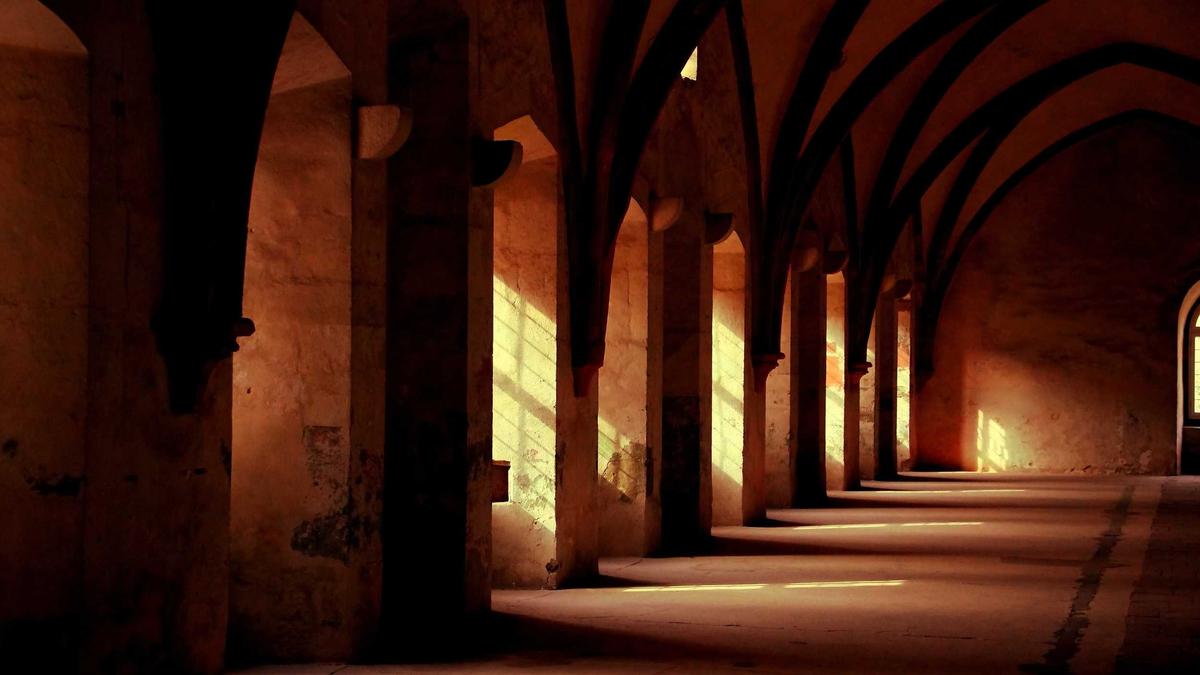 Detailansicht: Netflix Paramount Bieterkampf