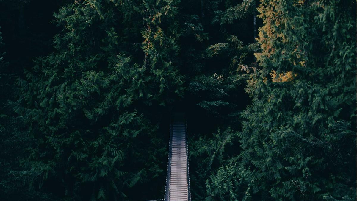 Detailansicht: Nets – Mavericks