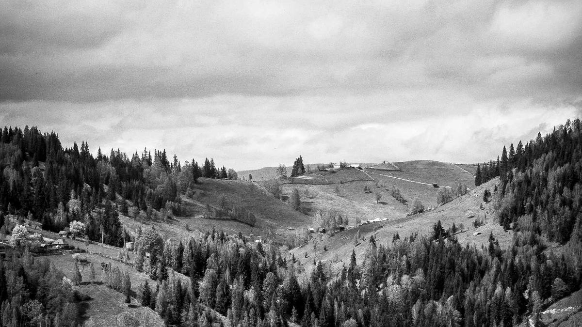 Ö3 Symbolbild zum Thema Ö3