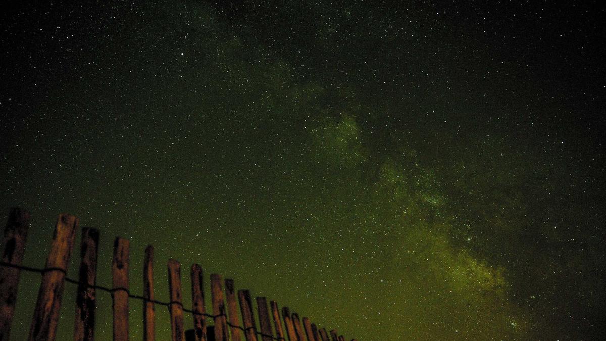 Robert Carradine Todesursache Symbolbild zum Thema Robert Carradine Todesursache