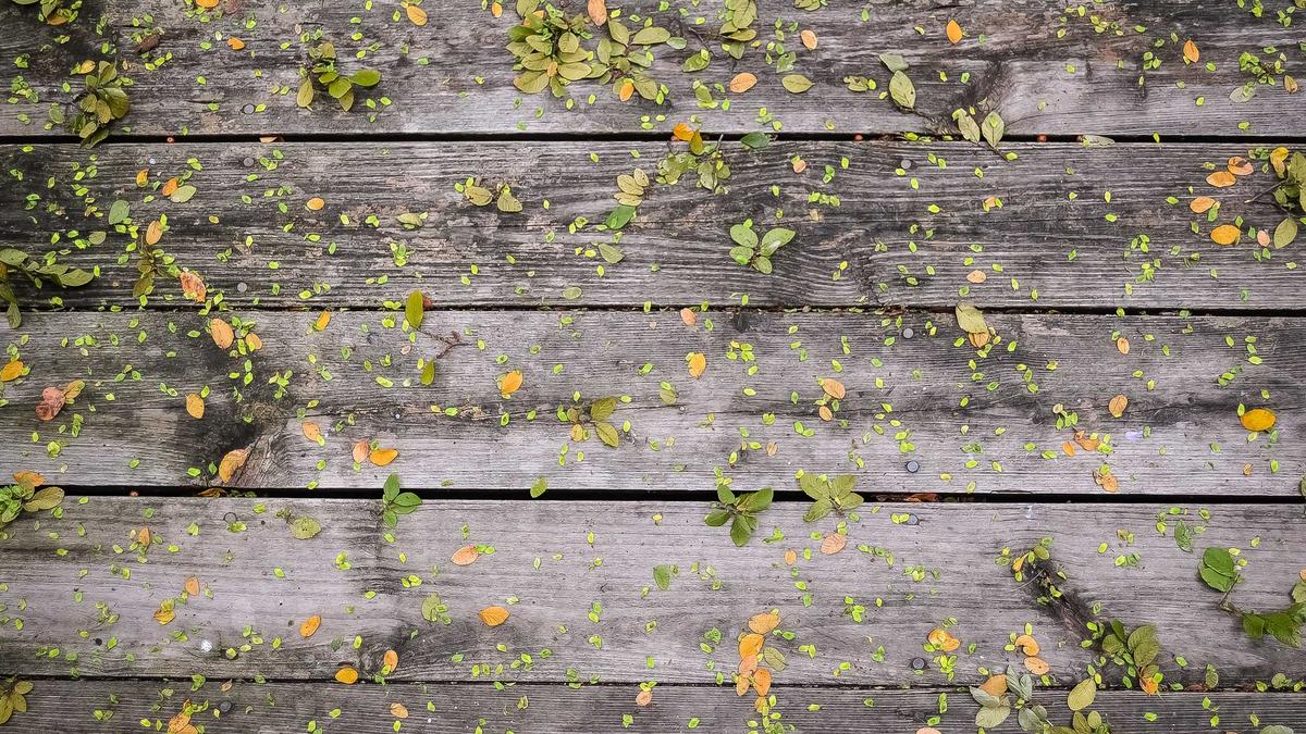 Detailansicht: Sabah Namazi