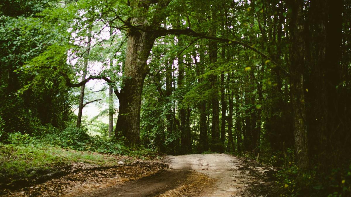 Schlammvulkan Ausbruch Detailansicht: Schlammvulkan Ausbruch