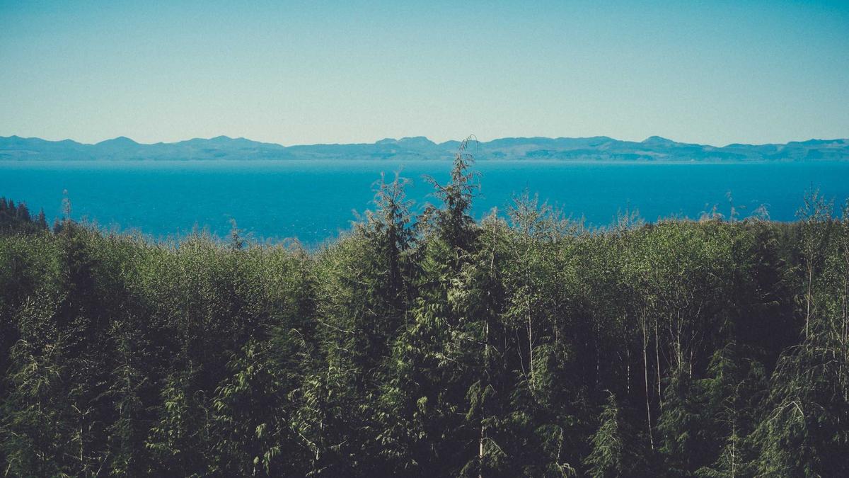 Illustration zu Schnelles Quiz