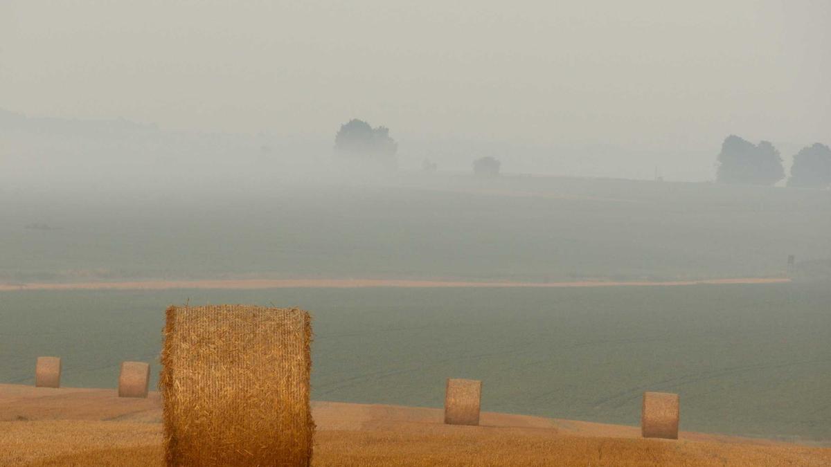 Symbolbild zum Thema Schnelles Quiz