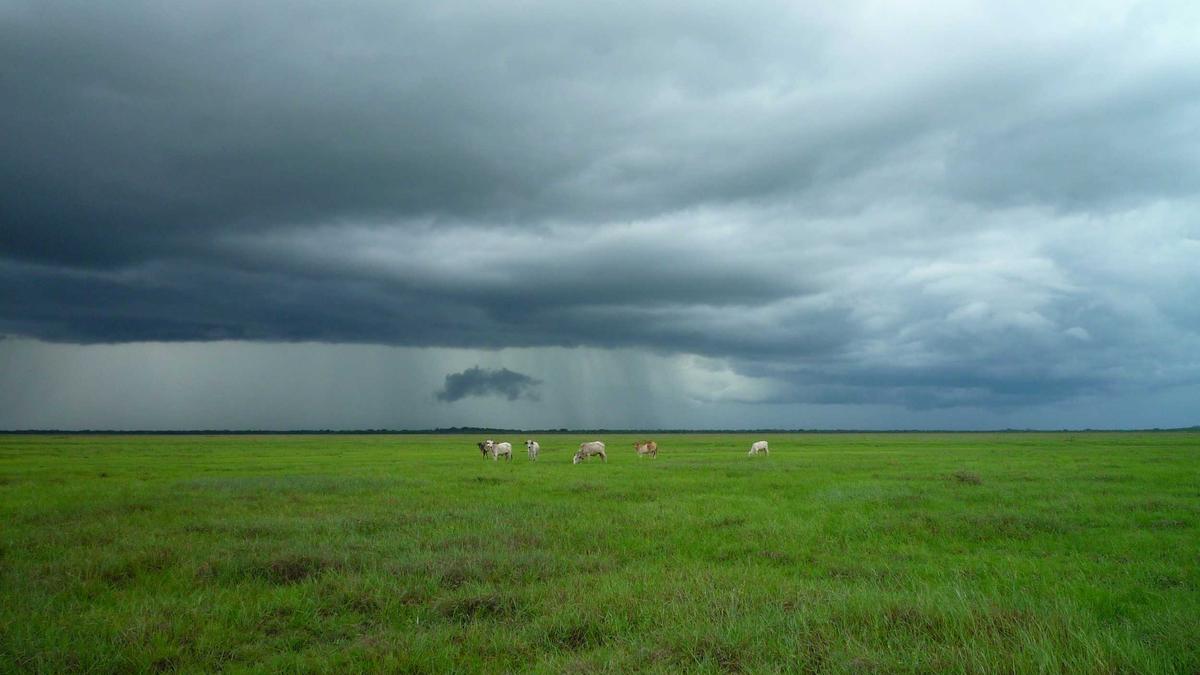 Detailansicht: Sci Acrobatico Alle Olimpiadi Invernali 2026