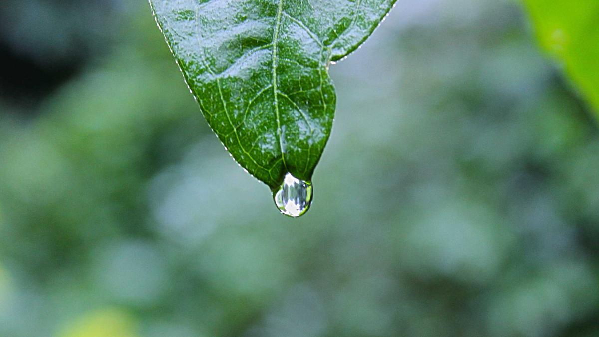 Illustration zu Senioren Selbsthilfegruppe