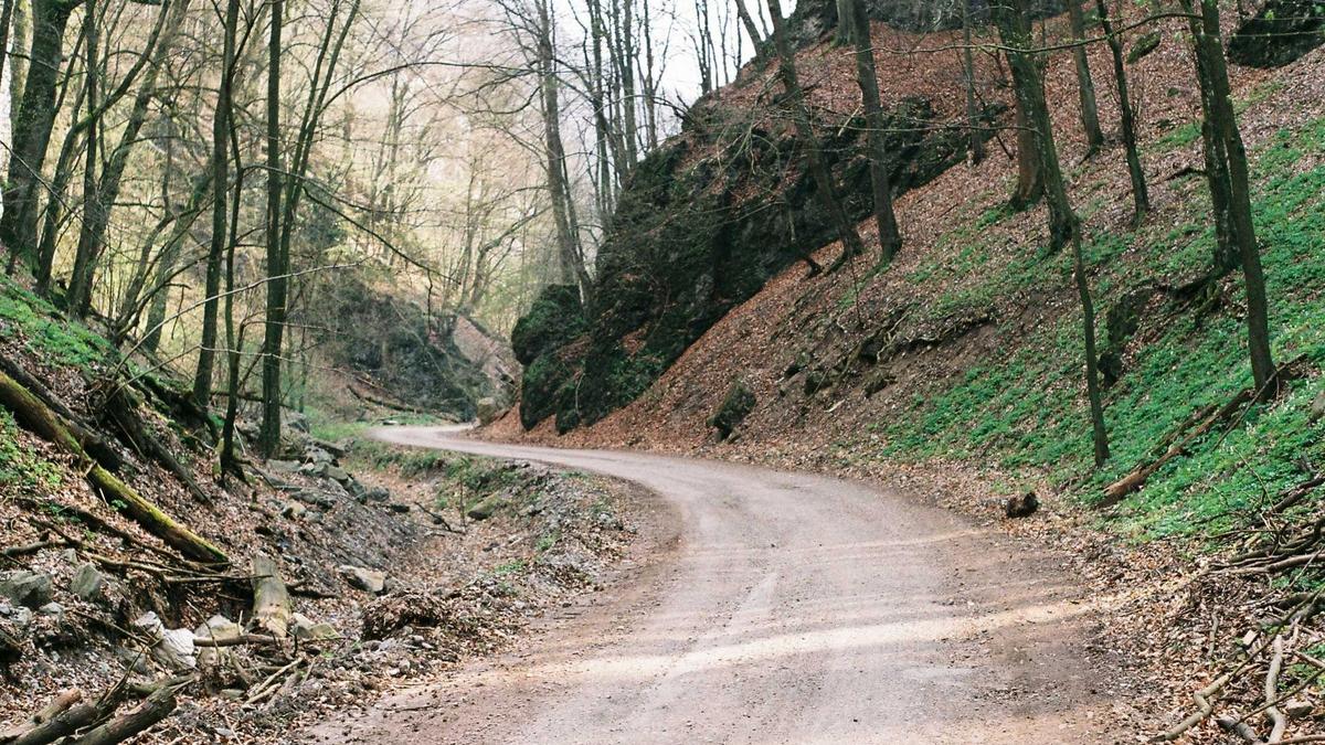 Symbolbild zum Thema Social Media Verbot Kinder