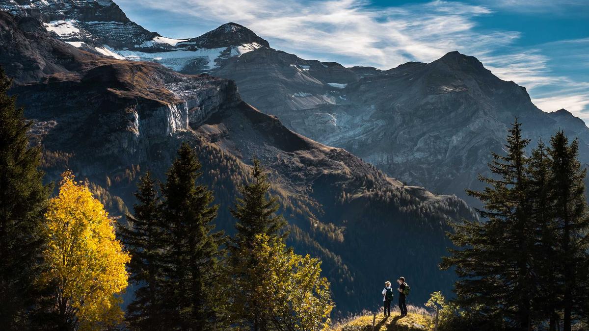 Illustration zu Timothee Chalamet