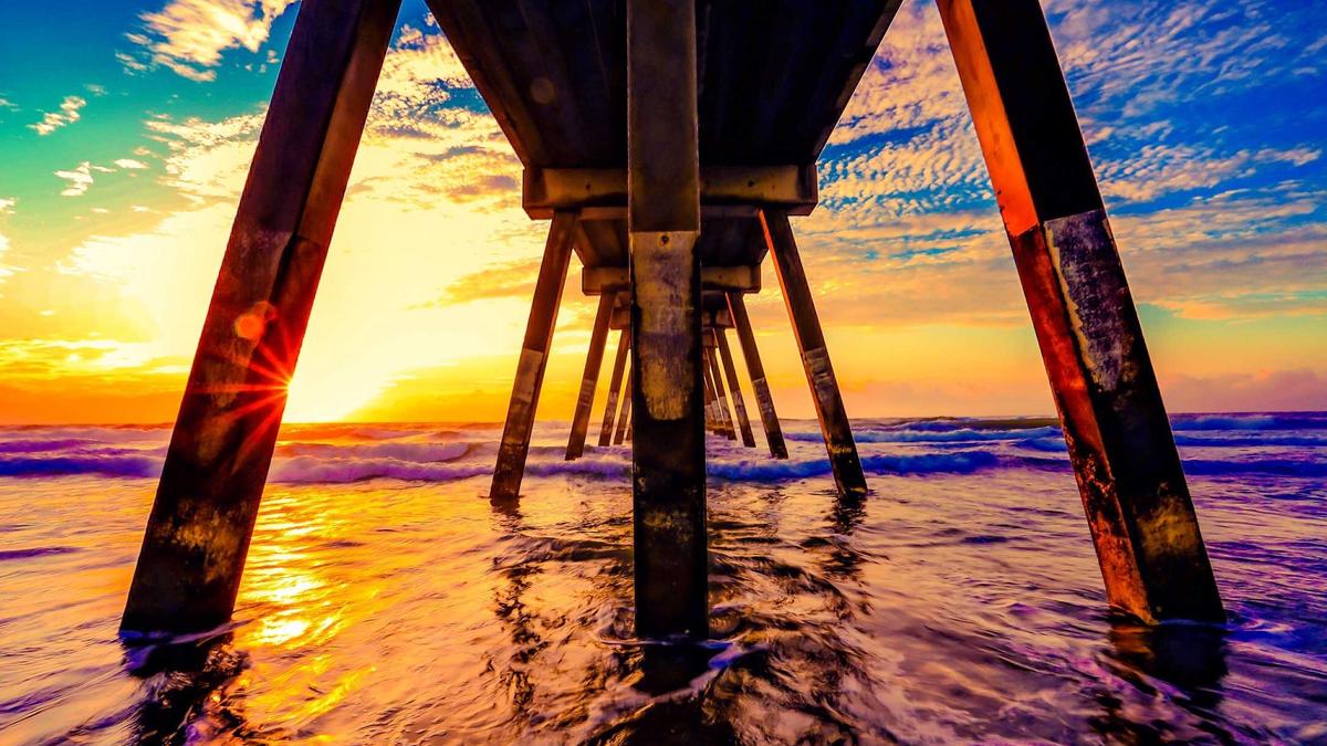 Detailansicht: Van Der Bellen Wehrpflicht