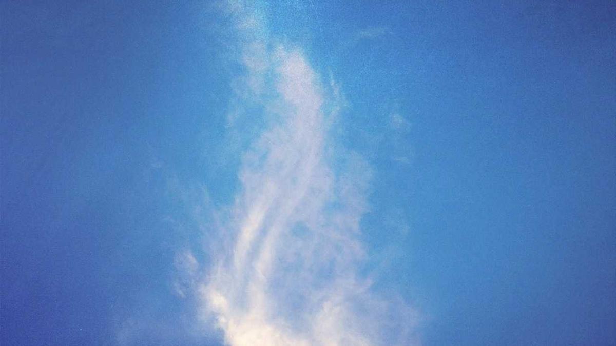 Wechselkennzeichen Bedeutung Illustration zu Wechselkennzeichen Bedeutung