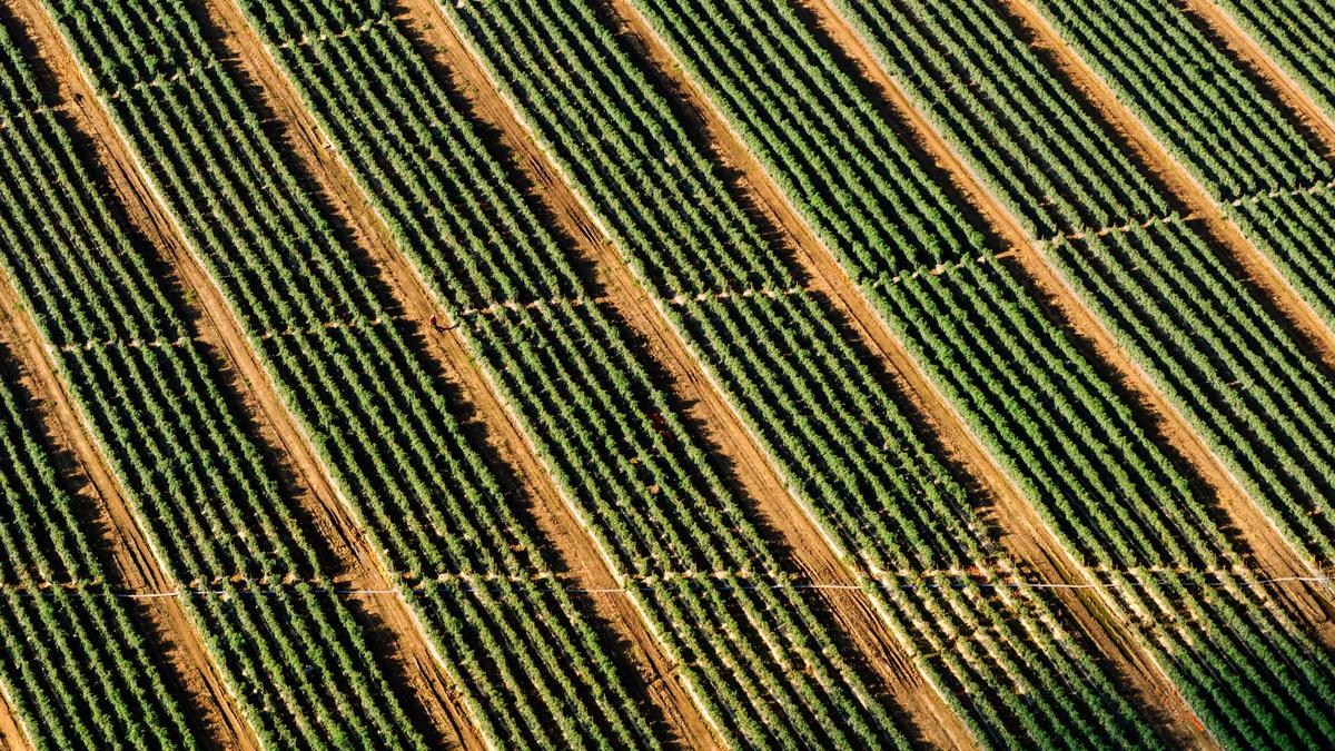 Wirtschaftsweise Malmendier Symbolbild zum Thema Wirtschaftsweise Malmendier