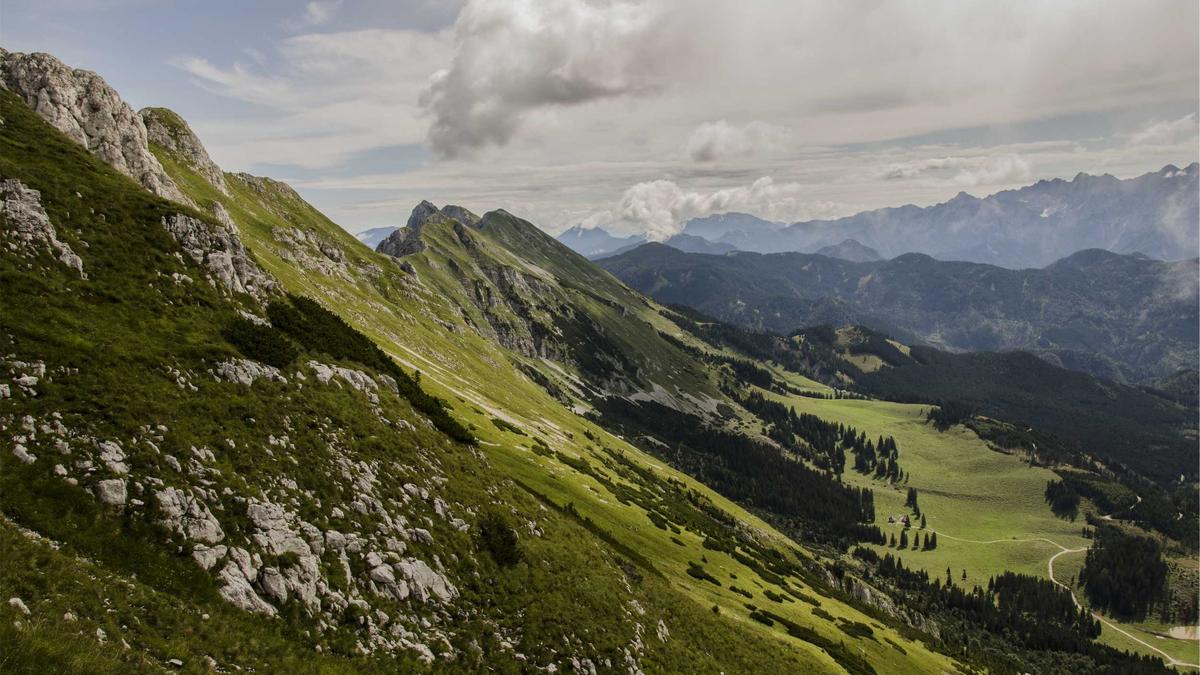 Wohnzimmer Streichen Detailansicht: Wohnzimmer Streichen