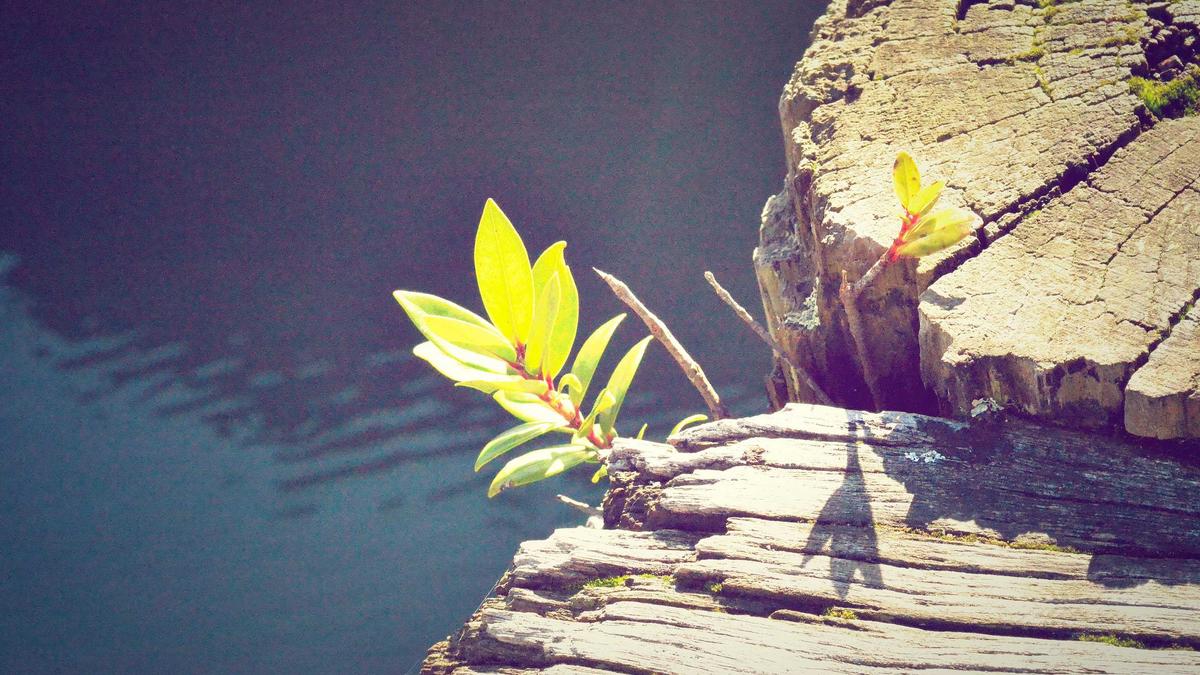 Illustration zu ADAC Pannenhilfe