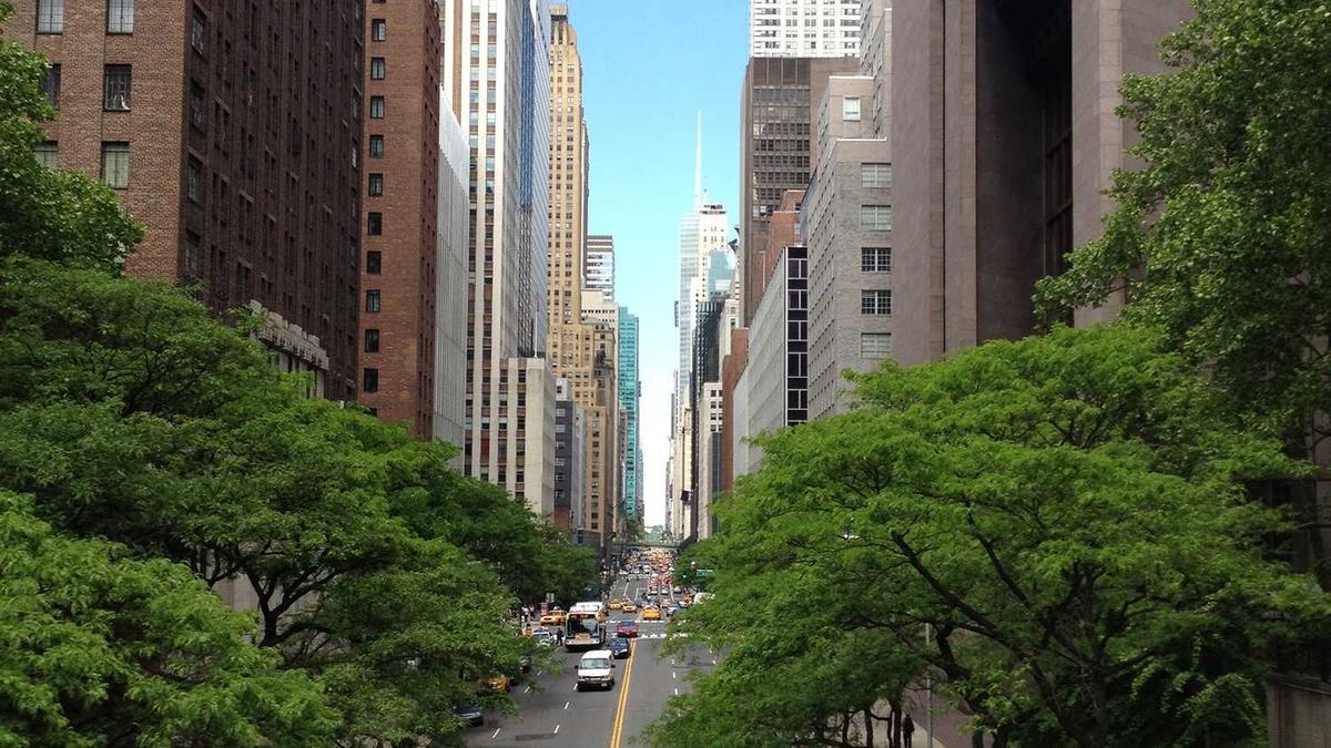 Detailansicht: Alternativen Abtreibung